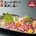 【ふるさと納税】馬刺し盛り 大トロ 中トロ 2種類 合計600g (醤油・生姜付き) 食べ比べ 食べくらべ 馬刺 馬肉 馬 ブロック 霜降り 刺身 詰め合せ セット 醤油 生姜 送料無料