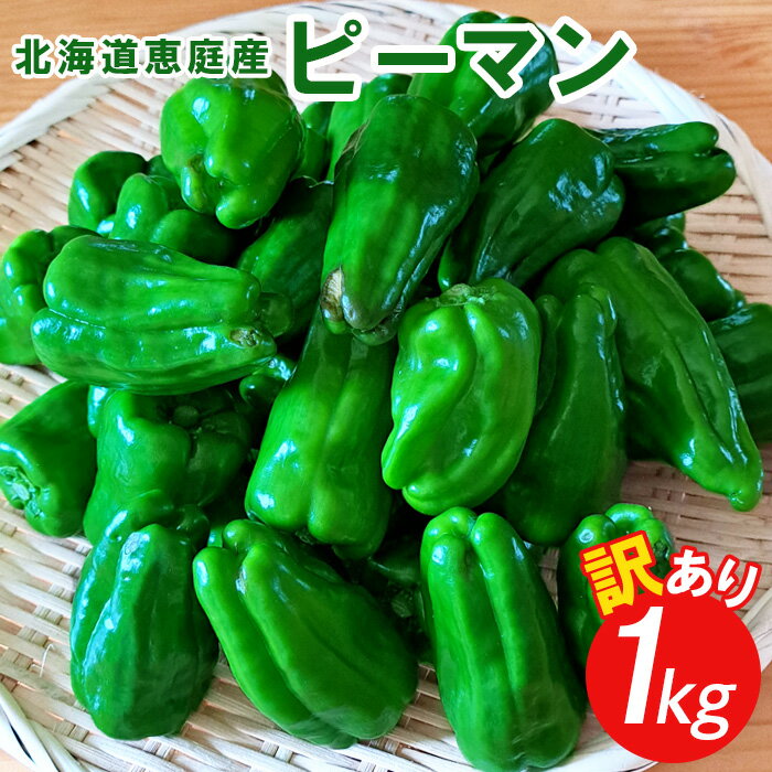 【ふるさと納税】北海道恵庭産ピーマン 1kg 約30個 訳あり 規格外 新鮮 ピーマン 野菜 国産野菜 産地直送 ふるさと納税 北海道 恵庭市 恵庭【67000501】