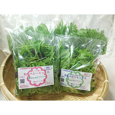 ふるさと納税 野田市 【毎月定期便】お日様ベビーリーフ5種セット全6回