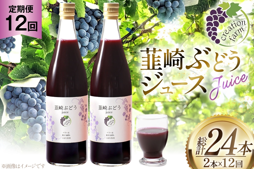 
                  ジュース 12回 定期便 ぶどう 100％ ストレート 国産 韮崎ブドウジュース 720ml 2本 [creation farm 山梨県 韮崎市 20745507] ぶどうジュース 葡萄 ストレートジュース マスカットベーリーA 農園 送料無料
                