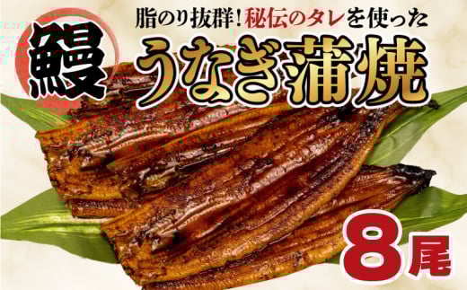 うなぎ 蒲焼き 8尾 約1kg  鰻 冷凍 中国産 まるが水産 脂ノリ抜群 静岡 指定日可 土用 丑の日