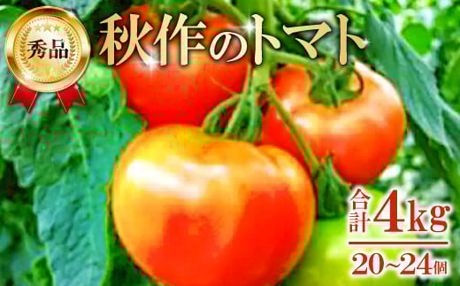 朝採り「真赤な益田SUNトマト」秀品20～24玉入【秋作】【先行予約 野菜 やさい トマト とまと 秀品 4kg 秋作 朝採れ 安心 安全 箱入り 期間限定 季節限定 早期予約】
