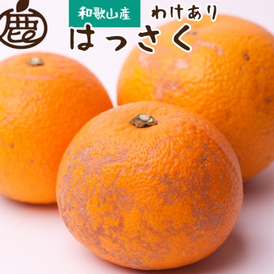 家庭用 はっさく5kg+250g(傷み補償分)【八朔みかん】【光センサー選別】【訳あり】【配送不可地域：離島・北海道・沖縄】【1646248】