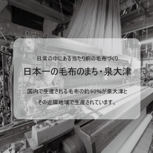 ベビー綿毛布(パンダ柄)ブルー・85×115cm・毛布の町泉大津産 N-PANDA [0713] | ベビーブランケット ベビーブランケット