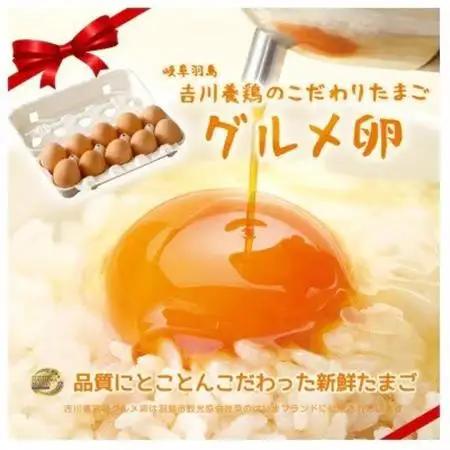 吉川養鶏のグルメ卵(L～Mサイズ10個×3パック)　贈答箱　観光協会推奨【はしまブランド】認定品　【配送不可地域：離島】【1720134】