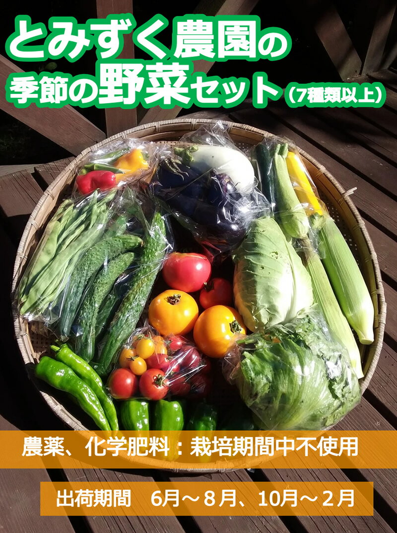 【ふるさと納税】とみずく農園の季節の野菜セット【単品】(北海道・沖縄県・離島は配送不可) 無農薬 高原野菜 旬 新鮮 詰合せ＜出荷時期2025年6月17日以降出荷開始～2026年2月28日出荷終了＞ 【 産地直送 産直 季節の野菜 旬の野菜 有機野菜 有機栽培 長野県 佐久市 旬彩】