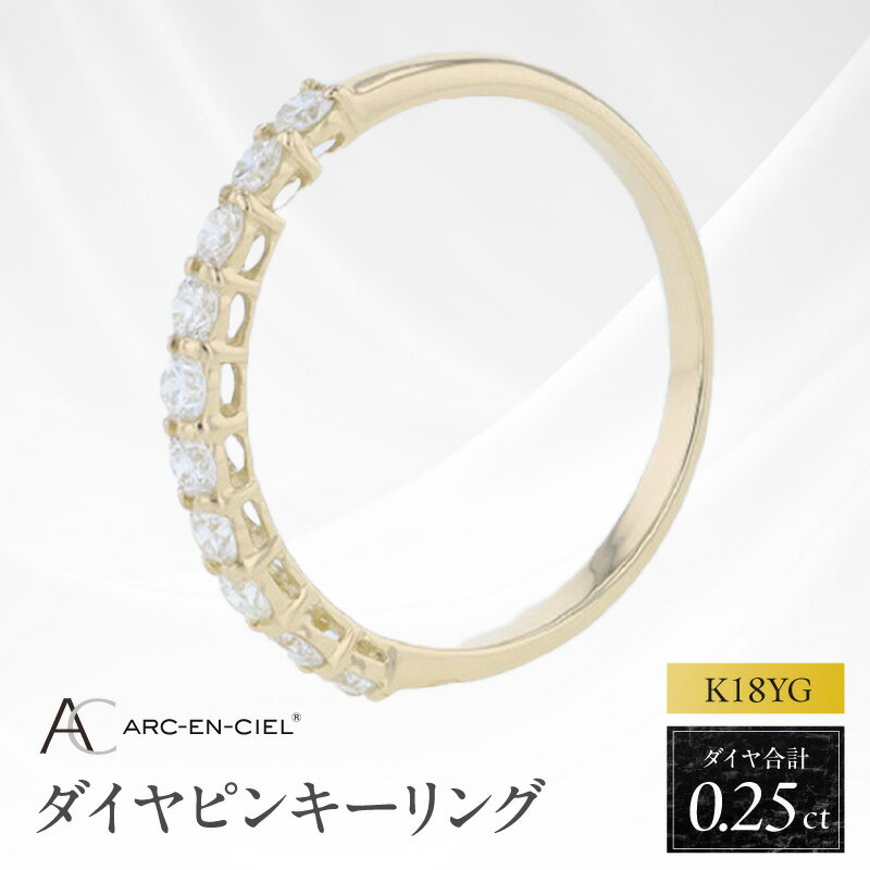 【ふるさと納税】アルカンシェル YG ダイヤピンキーリング 計 0.25ct イエローゴールド 指輪 2号 3号 4号 5号 6号 7号 8号 9号 ハーフエタニティ ピンキーリング ダイヤ ダイヤモンド 天然ダイヤモンド 金 18金 K18 ジュエリー アクセサリー 宝石 大阪府 泉佐野市 送料無料