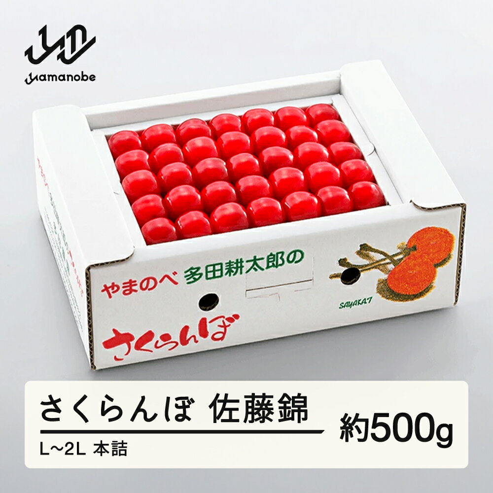 【ふるさと納税】 《先行予約》 2026年 山形県産 佐藤錦 本詰め 約500g L~2L やまのべ多田耕太郎のさくらんぼ サクランボ 送料無料 F20A-042