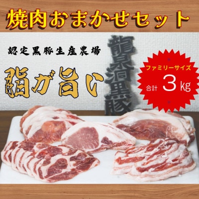 龍泉洞黒豚おまかせ焼肉セット　3kg(3000g)【配送不可地域：離島】