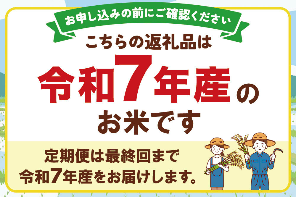 《定期便3ヶ月》令和7年産【無洗米】特別栽培米 ササニシキ 10kg（5kg×2袋）秋田県産 [ササニシキ 米 お米 白米 精米 無洗米 特別栽培米 ブランド米 食卓 秋田県産 秋田県 由利本荘市]