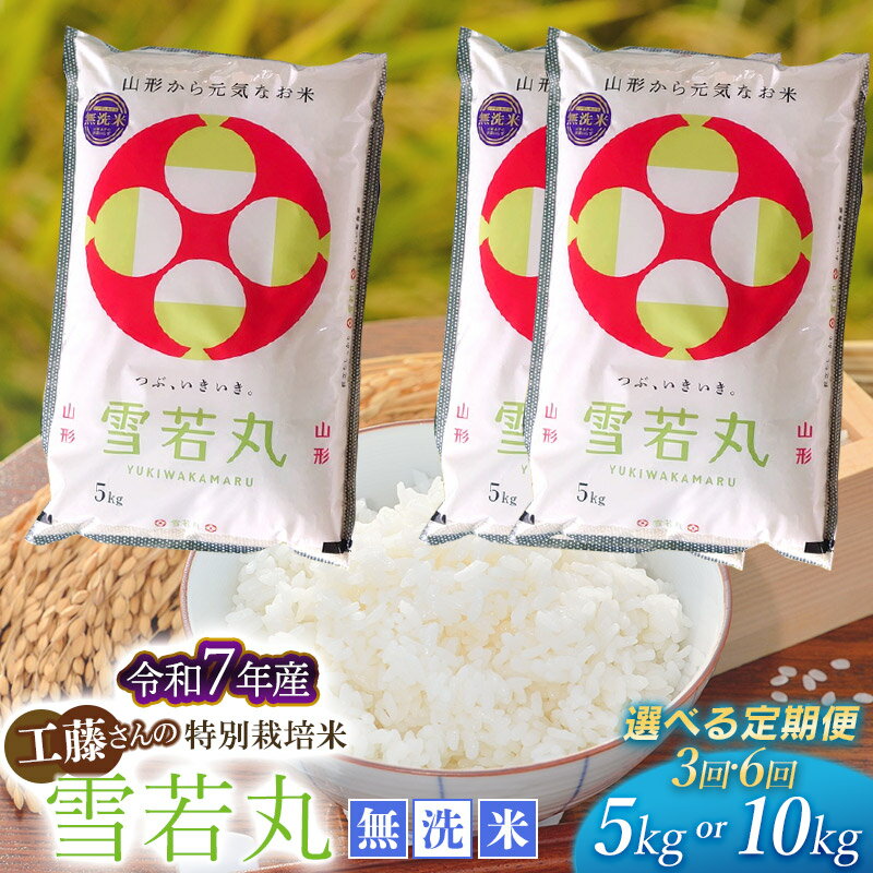 【ふるさと納税】【令和7年産先行予約】工藤さんの特別栽培米 雪若丸 無洗米 【定期便】5kg 又は 10kg 毎月1回中旬発送【選べる回数】3・6回 山形県 庄内産