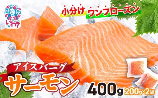 アイスバーグサーモン（アトランティックサーモン）　約400g（約200g×2袋） 刺身 フィレ 個包装 冷凍 さけ サケ 生食サーモン 鮭 魚 海鮮 手巻き寿司 海鮮丼 人気 おすすめ ノルウェー産