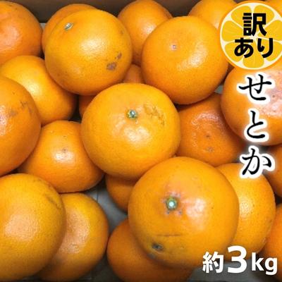 【ふるさと納税】《訳あり》 せとか 約3kg 甘い みかん お取り寄せ 果物 くだもの 季節限定 柑橘 蜜柑 かんきつ おすすめ フルーツ 香川県観音寺市 　お届け：2026年2月上旬～3月上旬