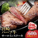 【ふるさと納税】宮崎ハーブ牛 サーロインステーキ 合計600g 牛肉 肉 お肉 ステーキ肉 ハーブ牛 国産牛 ブランド牛 サーロイン ステーキ 小分け パック 真空パック 冷凍 焼肉 キャンプ BBQ アウトドア グランピング グルメ お取り寄せ 贈答 贈り物 宮崎県 宮崎市 送料無料