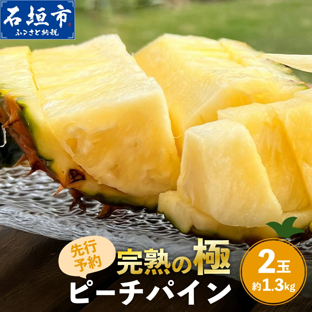 【ふるさと納税】＜数量限定＞《2026年4月以降順次発送》お試し用 ピーチパイン 2玉 (約1.3kg) | 石垣島産 パイナップル 沖縄 石垣島 石垣 八重山 パイン ピーチパイン 数量限定 沖縄県 期間限定