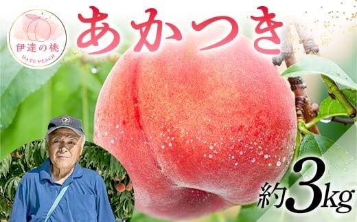 【2026年出荷分先行予約】福島県産 あかつき 約3㎏ (9~12玉) 斎藤 常昭 新鮮もも直送 伊達の桃 桃 フルーツ 果物 もも モモ momo F20C-607
