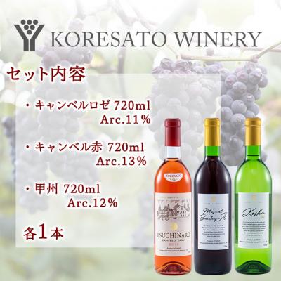 ふるさと納税 赤磐市 ワイン 果実酒 キャンベルロゼ キャンベル赤 甲州 720ml　各1本[NO5765-1253] |  | 01