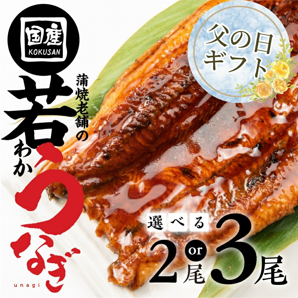 【ふるさと納税】≪父の日お届け 対象≫ 国産若うなぎ 2尾〜3尾 選べる 老舗 国産うなぎ セット 詰め合わせ 蒲焼 ウナギ 2尾 3尾 厳選 冷凍 丑の日 鰻 国産 高級 蒲焼 お歳暮 お中元 unagi 土用 豊橋うなぎ 愛知県 豊橋市 9000円 13000円
