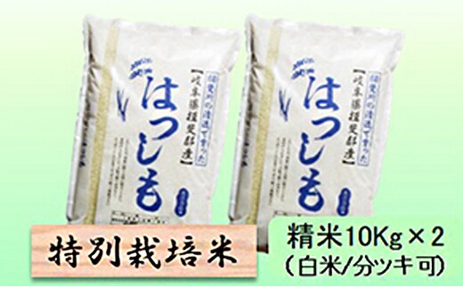 
										
										特別栽培米★精米20kg（白米/5分/7分ツキ可）【ハツシモ】 玄米は別に出品7分ヅキ
									