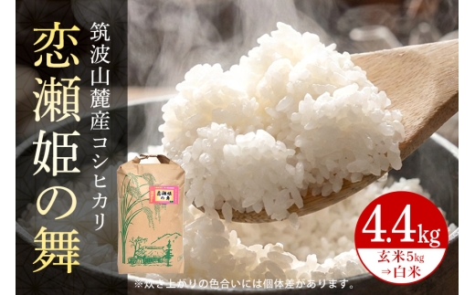 【玄米5kg⇒白米】筑波山麓厳選米【特A】令和7年産コシヒカリ（恋瀬姫の舞） B07-024