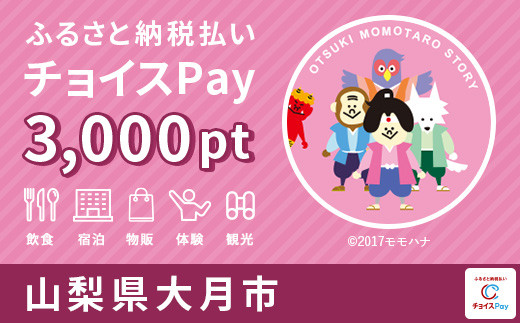 
大月市チョイスPay 3000pt（1pt＝1円）【会員限定のお礼の品】
