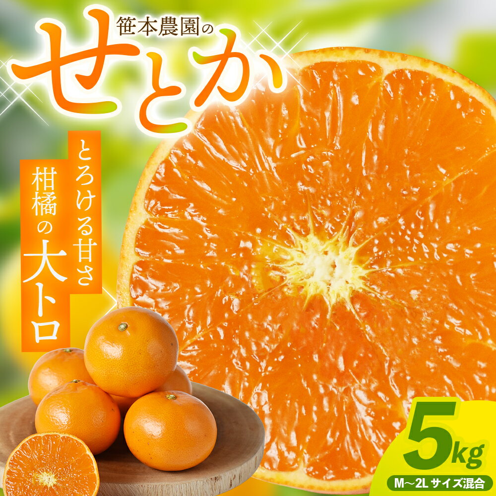 【ふるさと納税】 せとか 5kg M～2L サイズ混合 みかん ミカン 蜜柑 せとか 柑橘 フルーツ 果物 くだもの 甘い 旬 人気 果汁 濃厚 産地直送 国産 お取り寄せ 数量限定 期間限定 三重県 熊野市 送料無料 笹本農園【2027年3月上旬頃〜順次発送】
