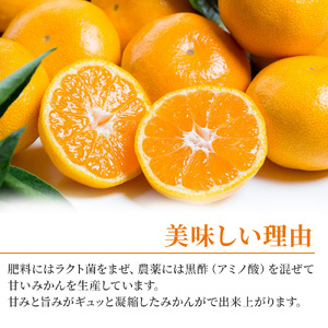 大鋸農園の甘果坊 １０ｋｇ　みかん 柑橘 黒酢みかん 温州みかん 完熟みかん 甘熟みかん 極甘みかん 国産 佐賀県産 太良町 N44