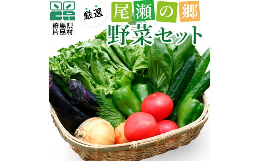 【７月下旬より配送予定】 野菜セット  片品村 尾瀬 新鮮