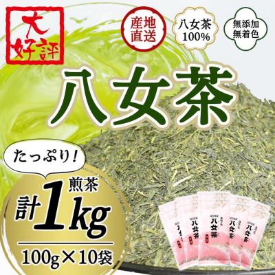 ふるさと納税 八女市 八女茶100% 家庭用業務用煎茶 100g×10袋