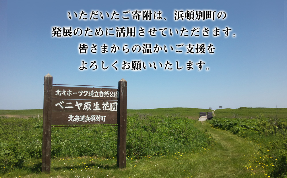 北海道 浜頓別町 ☆応援寄附金☆【返礼品なし】100,000円分 ふるさと納税 寄附のみ
