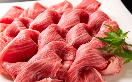 宮崎有田牧場 国産黒毛和牛 すき焼き・しゃぶしゃぶ用特選肩ローススライス500ｇ＜2-102＞牛肉 肉 ビーフ スライス肉 黒毛和牛 宮崎県西都市