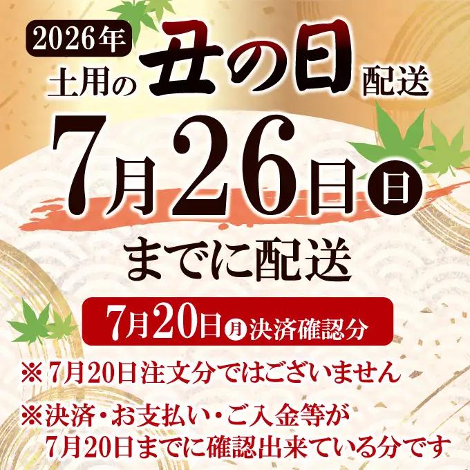うなぎ 訳あり 蒲焼き 1尾 計300g以上  【うなぎ】【ho1684】