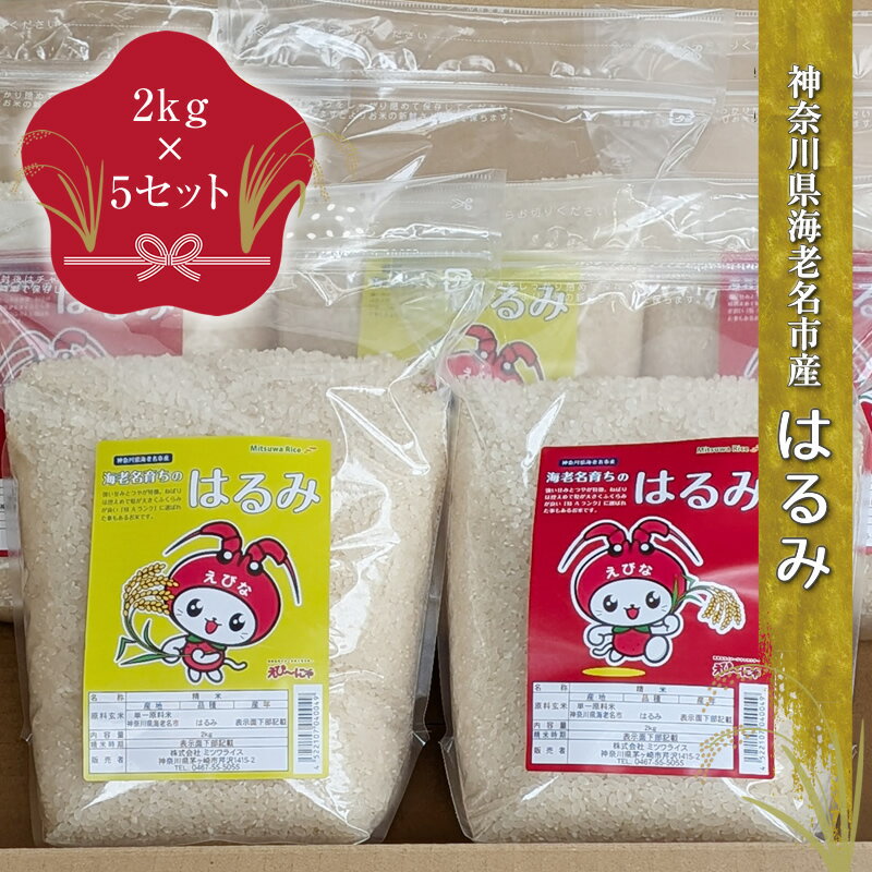 【ふるさと納税】 米 10kg 2kg × 5個 はるみ お米 こめ コメ ごはん ご飯 飯 白飯 はくまい 精米 白米 おこめ おむすび おにぎり ライス rice kome okome ブランド米 国産 特A 食料 小分け 産地直送 プレゼント お取り寄せ 仕送り ギフト 人気 ミツワライス 神奈川 海老名