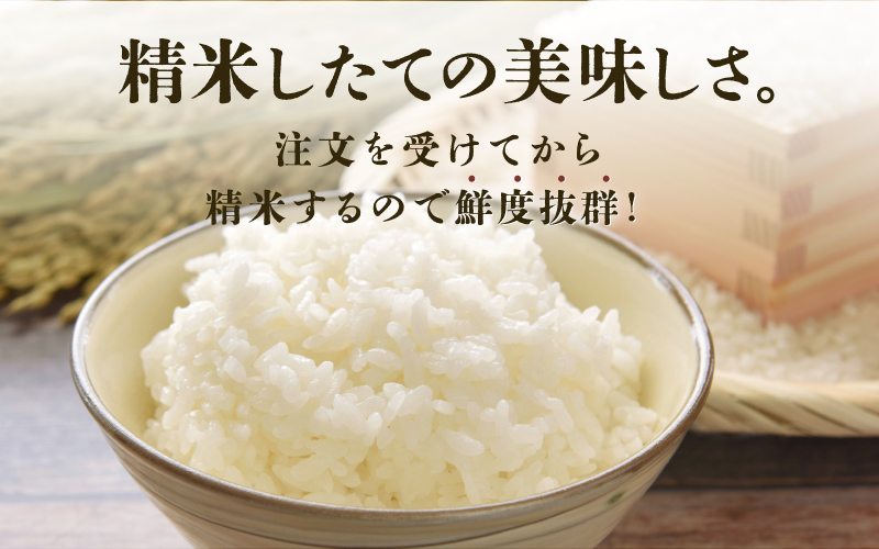 【ANA限定！350袋限定販売！！】＜2025年10月以降 順次発送予定＞令和7年産　ハナエチゼン　通常便（1回配送）計10kg（5kg×2袋） 通常便（1回配送）計10kg（5kg×2袋）