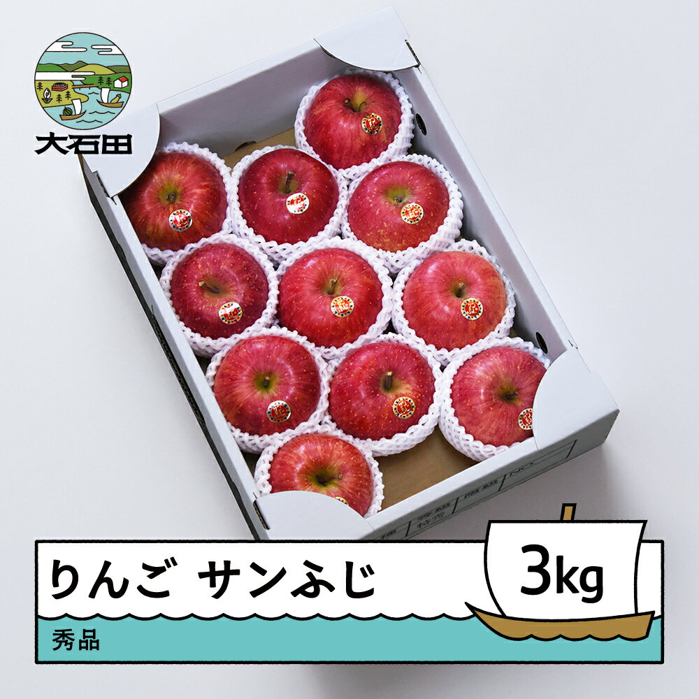 【ふるさと納税】 りんご サンふじ 約3kg 令和8年産 2026年産 ry-risfx3000 ※沖縄・離島への配送不可