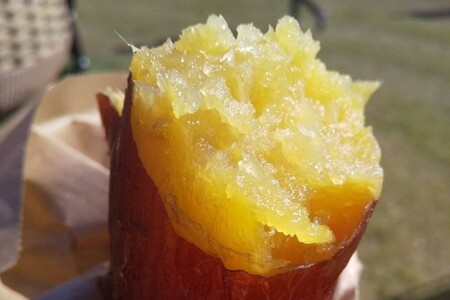 焼き芋 冷凍焼き芋 紅はるか750g前後【個包装】