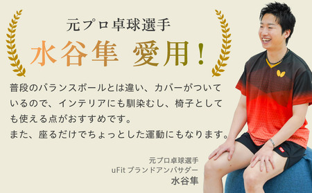 uFit Balance Ball　55cm【グレー】 【136005-1】ﾊﾞﾗﾝｽﾎﾞｰﾙ ｶﾊﾞｰ付き ﾄﾚｰﾆﾝｸﾞ 取手付き 洗濯可能 体幹 椅子 運動 筋肉 ﾊﾞﾗﾝｽ 在宅勤務 ｲﾝﾃﾘ