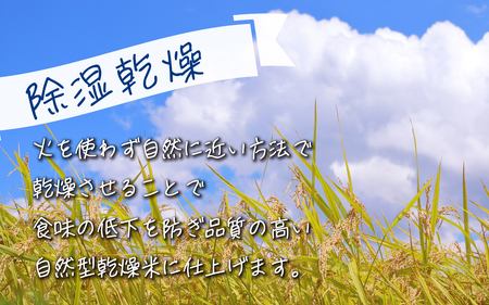【先行予約】里山のこしひかり ほくの里 パックご飯 300g×12パック 計3.6kg【2026年1月以降順次発送】|災害支援 こしひかり