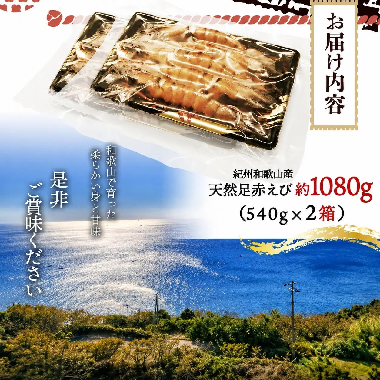 紀州和歌山産天然足赤えび540g×2箱（270g×4パック）化粧箱入 ※2026年12月上旬〜2027年2月上旬頃順次発送予定（お届け日指定不可）【uot773A】