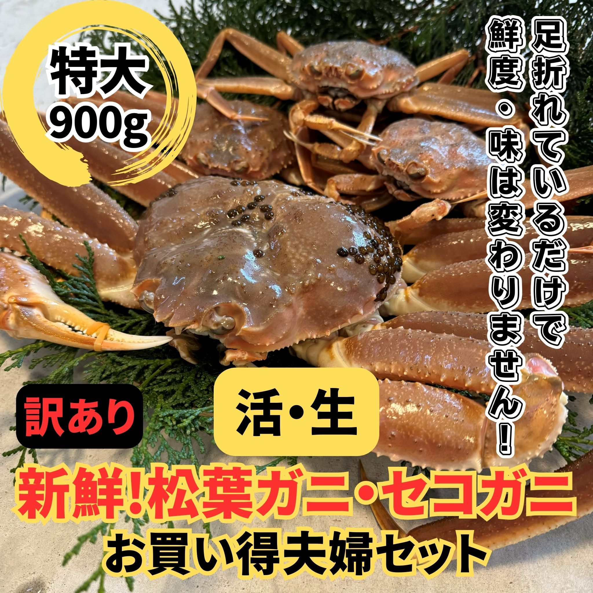 <訳あり>活！松葉ガニ・セコガニセット｜鳥取網代港 岩美 松葉がに ずわいがに かに ※お届けは2026年11月中旬～【さかなや新鮮組】【22101】