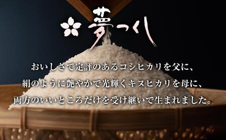 夢つくし 玄米 PREMIUMパック 160g×24パック パックご飯 玄米パック 非常食 保存食 福岡県産