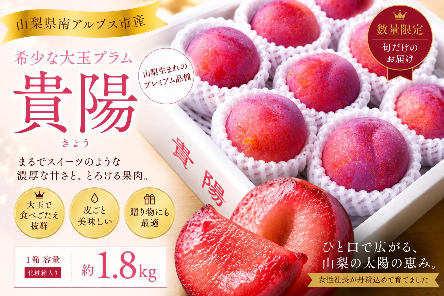 
                  ＜2026年発送先行予約＞南アルプス市芦安産 すもも「貴陽」約1.8kg（8～11玉入り） ALPFN009
                