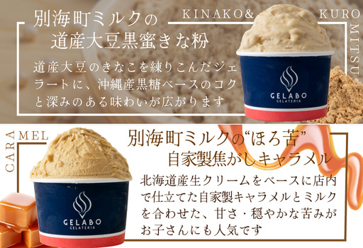 贅沢素材・10種のジェラート（ あいす アイス ジェラート 北海道 別海町 人気 ふるさと納税 ）