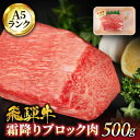 【ふるさと納税】【お中元対象】＜A5ランク＞飛騨牛霜降りブロック肉 500g【有限会社マルゴー】牛肉 和牛 国産 [MBE053]