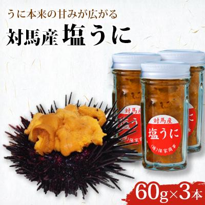 ふるさと納税 対馬市 対馬産塩うに60g×3本