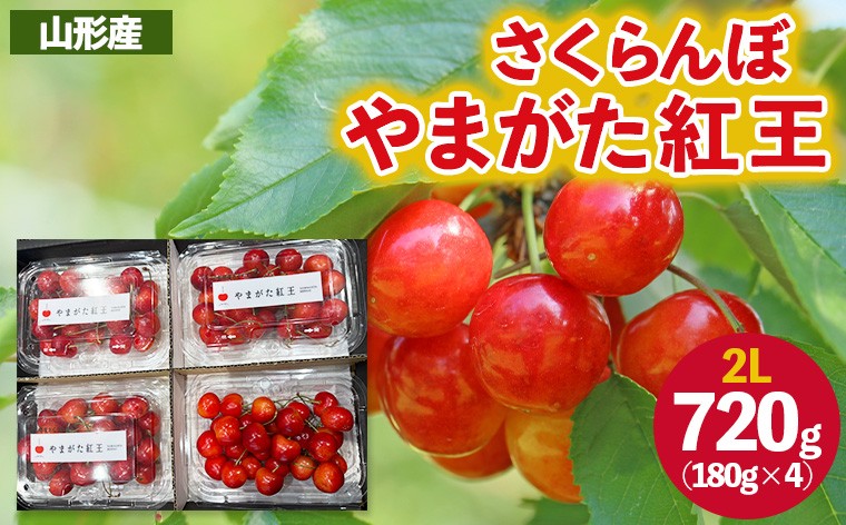 
            さくらんぼ ”やまがた紅王” 2Lサイズ (180g×4パック) 【令和8年産先行予約】FS25-055
          