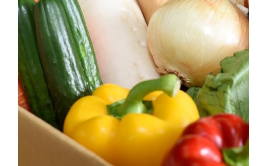 新鮮野菜のお届けによる見守りサービス（2ヶ月4回お届け）　一人暮らし　笑顔と共に　家族愛　見守り　新鮮野菜　宅配