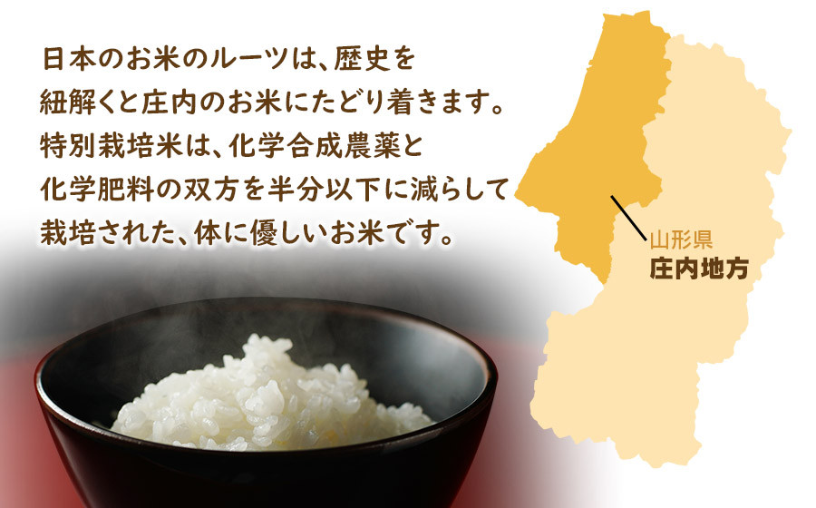 【令和7年産】 はえぬき10kg (5kg×2) 山形県庄内産　鶴岡米穀商業協同組合 |  精米 東北 山形 鶴岡 国産 ブランド米 米どころ 庄内米 粒がしっかり ご飯 おにぎり 冷めても美味しい 