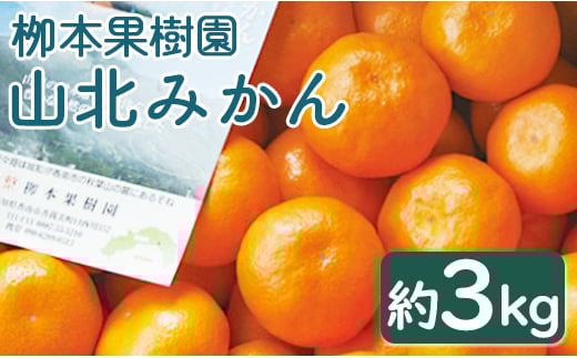 みかん 3kg  ss (露地・2S～M) 栁本果樹園 - 果物 柑橘 ミカン 蜜柑 フルーツ yg-0006