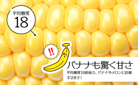 【先行予約】北海道 千歳産 とうもろこし 430ｇ以上 25本 恵味スター 野菜 トウモロコシ 甘い 旬 夏 BBQ ＜ファーム安澤＞